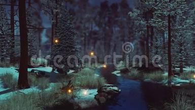 暗冬森林4K的超自然精灵灯光